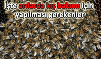 Kış Filo Bakımı: Güvenli ve Verimli Operasyon İçin İpuçları