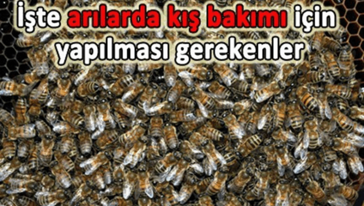 Kış Filo Bakımı: Güvenli ve Verimli Operasyon İçin İpuçları