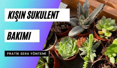 Kışın Yarı Tır Bakımı: Önleyici Filo Bakımını Öğrenin