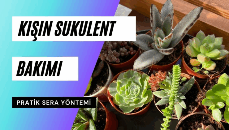 Kışın Yarı Tır Bakımı: Önleyici Filo Bakımını Öğrenin