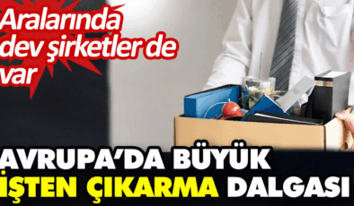 Dalkia İşten Çıkarma Süreci ve Gelecek Projeler