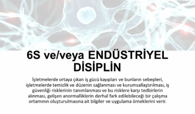 GHD İş Kayıpları: Danışmanlık Firmasında Kriz Belirtileri