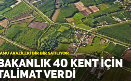 Kamu Arazileri: Mike Lee’nin Gizli Satış Planı