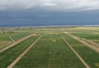 Utah Kamu Arazileri: Doğanın Korunması İçin Bir Çağrı