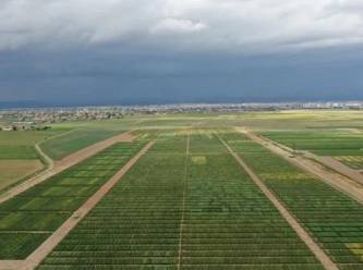 Utah Kamu Arazileri: Doğanın Korunması İçin Bir Çağrı